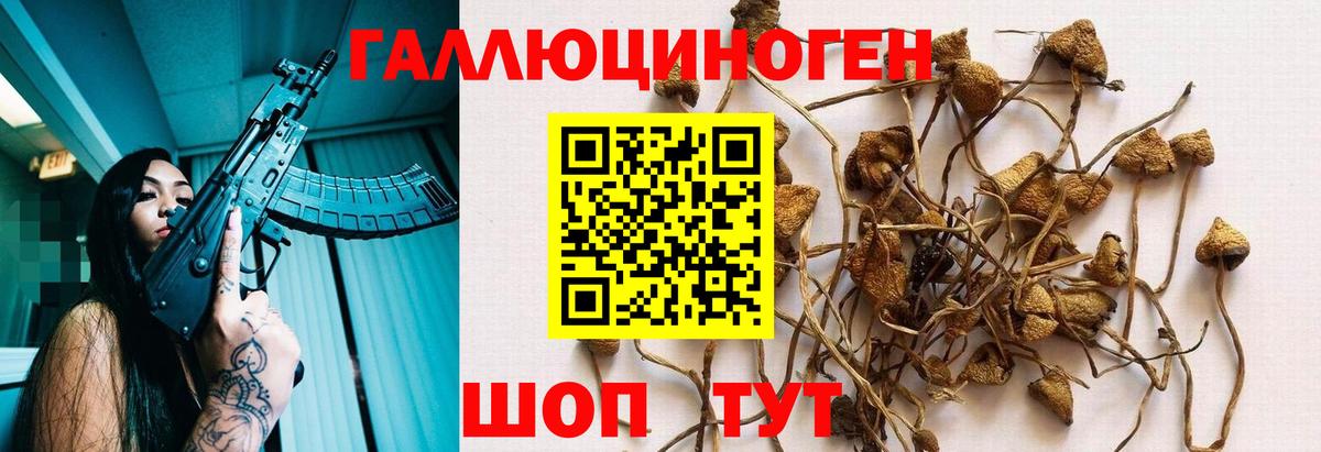 Новый Уренгой  Галлюциногенные грибы MAGIC MUSHROOMS  Вход с VPN 
