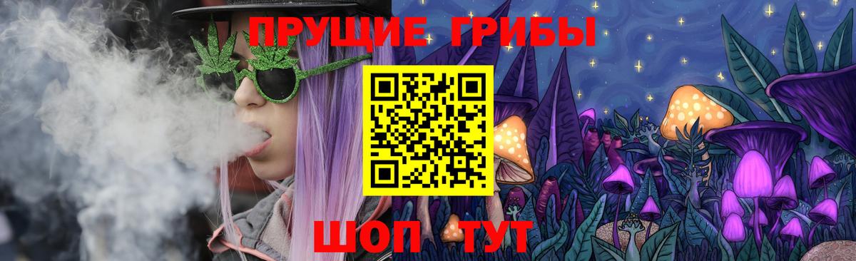 Псилоцибиновые грибы Psilocybine cubensis Новый Уренгой